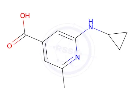 Chemical structure of 2-(cyclopropylamino)-6-methylpyridine-4-carboxylic acid