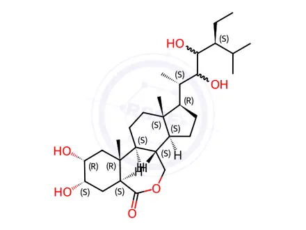 Chemical structure of 28-Homobrassinolide