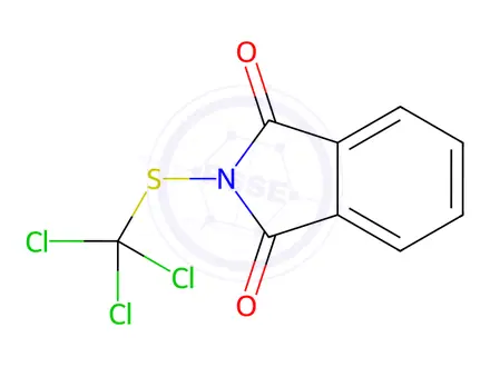 Chemical structure of Folpet