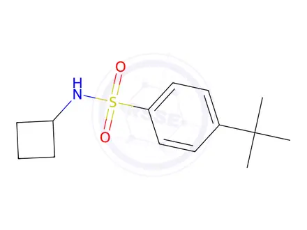 Chemical structure of 4-(tert-Butyl)-N-cyclobutylbenzenesulfonamide