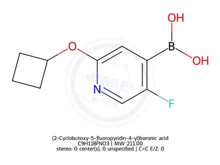 Chemical structure of (2-Cyclobutoxy-5-fluoropyridin-4-yl)boronic acid