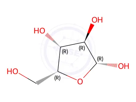Chemical structure of Beta-D-Xylofuranose