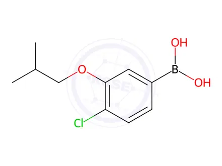 Chemical structure of (4-Chloro-3-isobutoxyphenyl)boronic acid