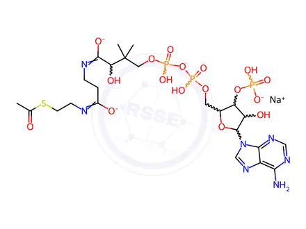 Chemical structure of Acetyl Coenzyme A Sodium SaltDISCONTINUED PLEASE SEE A172130