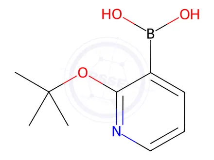 Chemical structure of (2-tert-butoxy-3-pyridyl)boronic acid