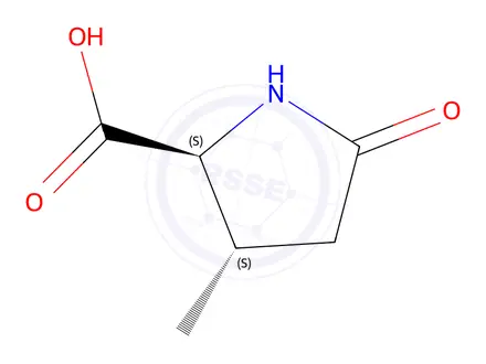 Chemical structure of (2S,3S)-3-Methyl-5-oxopyrrolidine-2-carboxylic acid