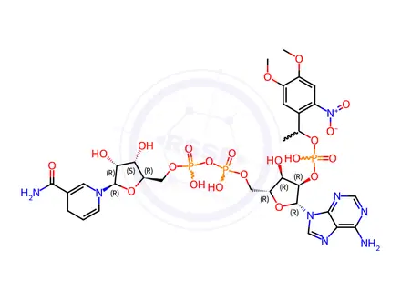 Chemical structure of Caged NADPH