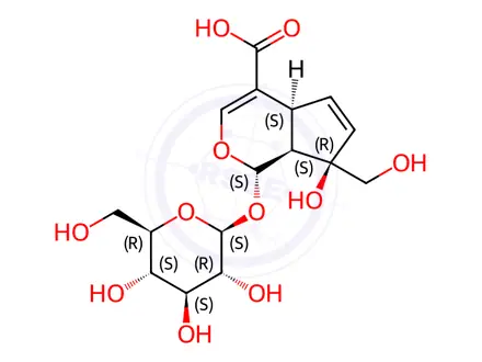 Chemical structure of monotropein