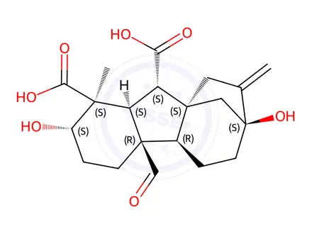 Chemical structure of Gibberellin Related Compound (20134-29-6)