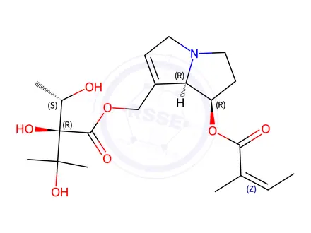 Chemical structure of Echimidine