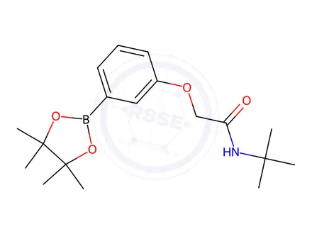 Chemical structure of N-(tert-butyl)-2-(3-(4,4,5,5-tetramethyl-1,3,2-dioxaborolan-2-yl)phenoxy)acetamide