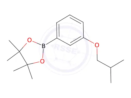 Chemical structure of 2-(3-Isobutoxyphenyl)-4,4,5,5-tetramethyl-1.3.2-dioxaborolane