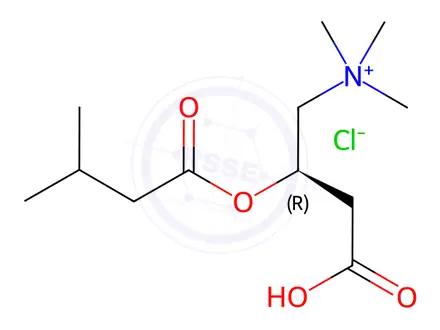 Chemical structure of Isovaleryl-L-Carnitine Chloride