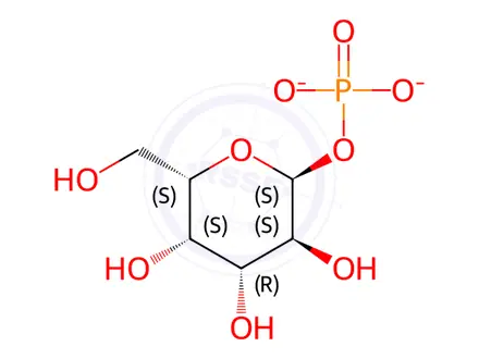 Chemical structure of a-L-Galactose-1-phosphatedipotassiumsalt