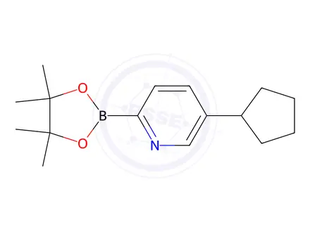 Chemical structure of 5-Cyclopentyl-2-(4,4,5,5-tetramethyl-1,3,2-dioxaborolan-2-yl)pyridine