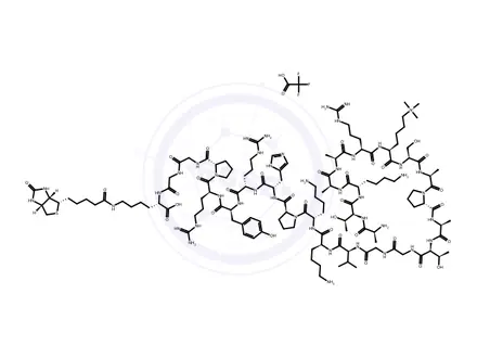 Chemical structure of (Lys(Me)?2?)-Histone H3 (21-44)-Gly-Lys(biotinyl) trifluoroacetate salt