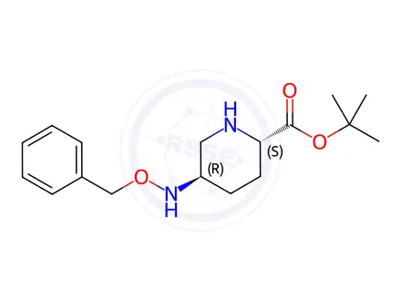 Chemical structure of 2-Piperidinecarboxylic acid, 5-[(phenylmethoxy)amino]-, 1,1-dimethylethyl ester, (2S,5R)-