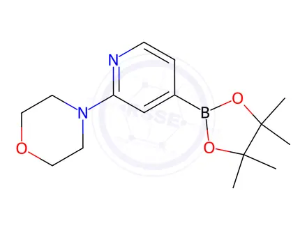 Chemical structure of 2-Morpholinopyridine-4-boronic acid, pinacol ester