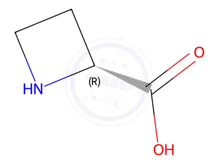 Chemical structure of D-Azetidine-2-carboxylic Acid
