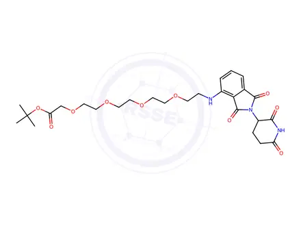 Chemical structure of tert-Butyl 14-((2-(2,6-Dioxopiperidin-3-yl)-1,3-dioxoisoindolin-4-yl)amino)-3,6,9,12-tetraoxatetradecanoate