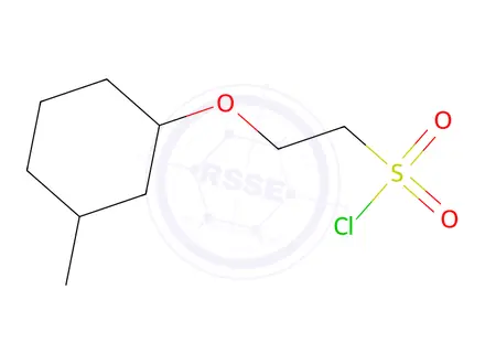 Chemical structure of 2-((3-Methylcyclohexyl)oxy)ethane-1-sulfonyl chloride