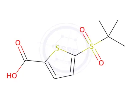 Chemical structure of 5-(2-METHYL-PROPANE-2-SULFONYL)-THIOPHENE-2-CARBOXYLIC ACID