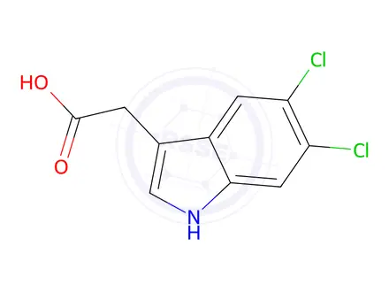 Chemical structure of 2-(5,6-Dichloro-1H-indol-3-yl)acetic acid