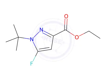 Chemical structure of Ethyl-1-tert-butyl-5-fluoro-1H-pyrazole-3-carboxylate