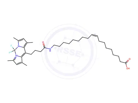 Chemical structure of TopFluor<SUP>®</SUP> Oleic Acid