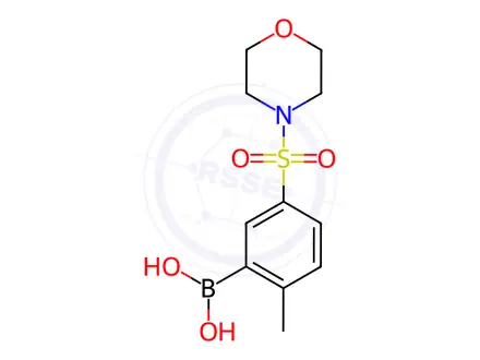 Chemical structure of 2-Methyl-5-(N-morpholinylsulfonyl)phenylboronic acid