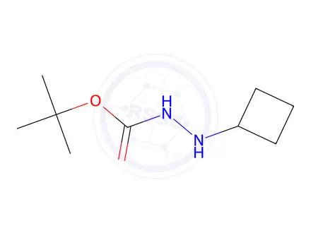 Chemical structure of N'-cyclobutyl(tert-butoxy)carbohydrazide