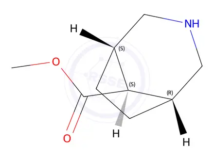 Chemical structure of methyl endo-3-azabicyclo[3.2.1]octane-8-carboxylate