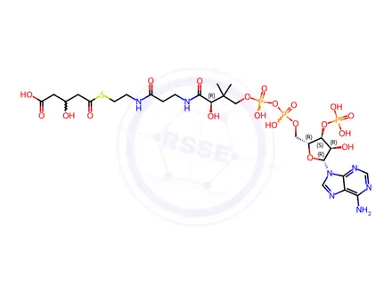 Chemical structure of 3-hydroxyglutaryl-coenzyme A