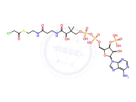 Chemical structure of chloroacetyl coenzyme A