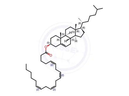 Chemical structure of Cholesteryl Arachidonate