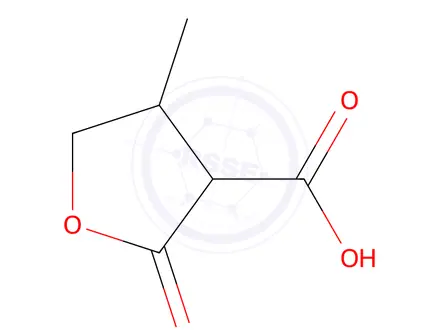 Chemical structure of 4-Methyl-2-oxotetrahydrofuran-3-carboxylic acid