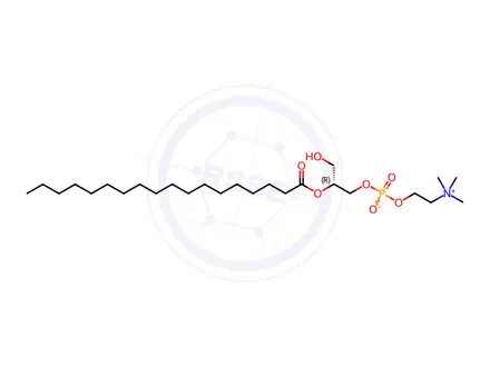 Chemical structure of 2-18:0 Lyso PC