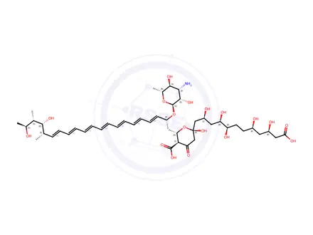 Chemical structure of Amphotericin B Impurity 21
