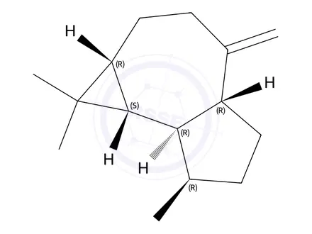 Chemical structure of β-Aromadendrene