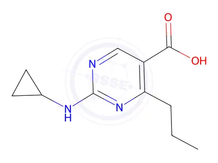 Chemical structure of 2-(Cyclopropylamino)-4-propylpyrimidine-5-carboxylic acid