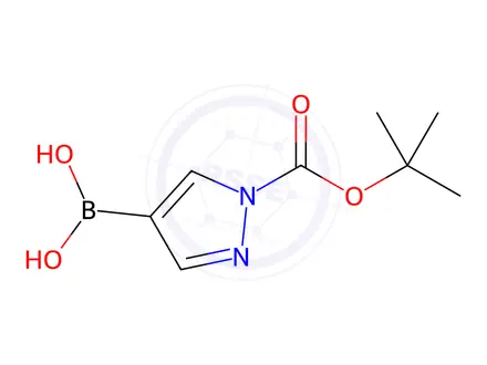 Chemical structure of (1-(tert-Butoxycarbonyl)-1H-pyrazol-4-yl)boronic acid