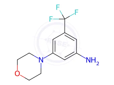 Chemical structure of 3-morpholino-5-(trifluoromethyl)aniline