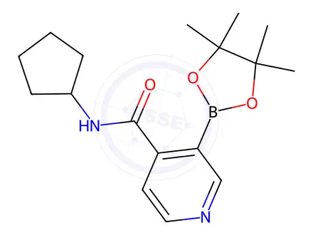 Chemical structure of N-Cyclopentyl-3-(4,4,5,5-tetramethyl-1,3,2-dioxaborolan-2-yl)isonicotinamide