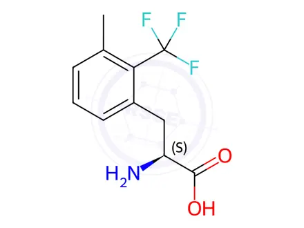 Chemical structure of (2S)-2-amino-3-[3-methyl-2-(trifluoromethyl)phenyl]propanoic acid