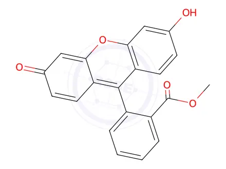 Chemical structure of Fluorescein Methyl ester