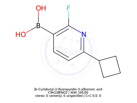 Chemical structure of (6-Cyclobutyl-2-fluoropyridin-3-yl)boronic acid