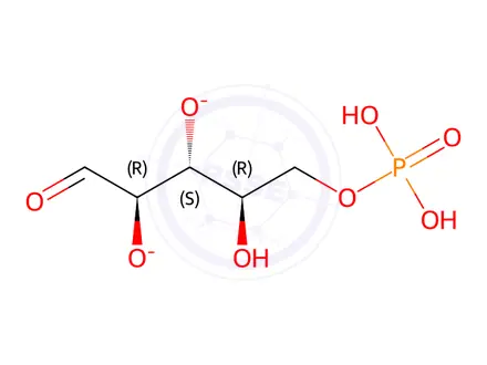 Chemical structure of D-Ribose 5-phosphate Disodium Salt
