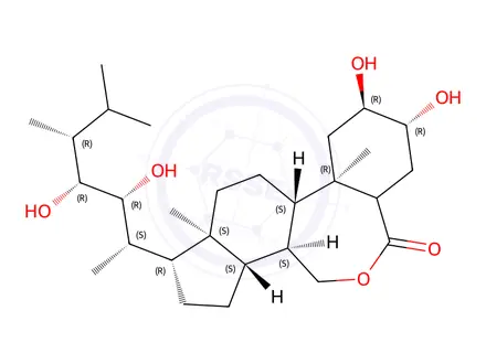 Chemical structure of 3,24-Diepibrassinolide