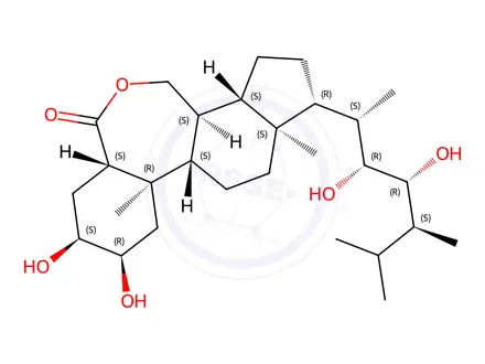 Chemical structure of Brassinolide