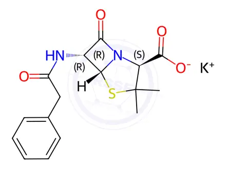 Chemical structure of Penicilline G potassium salt